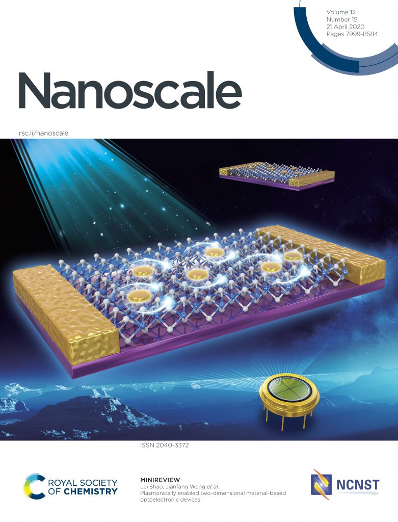 Plasmon-Enabled Optoelectronic Devices
