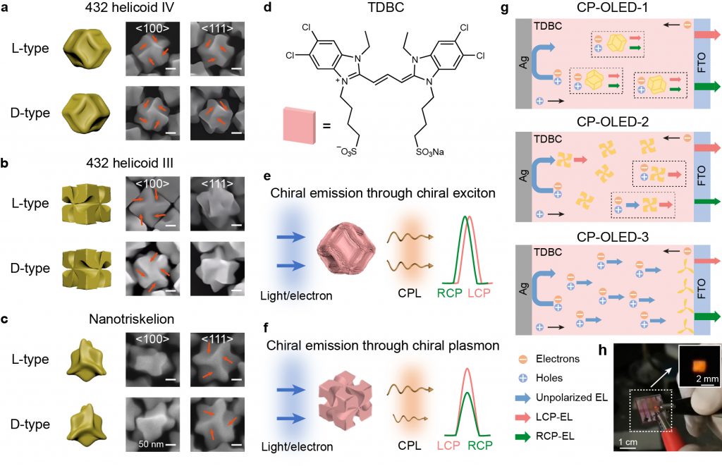 Circularly Polarized OLEDs